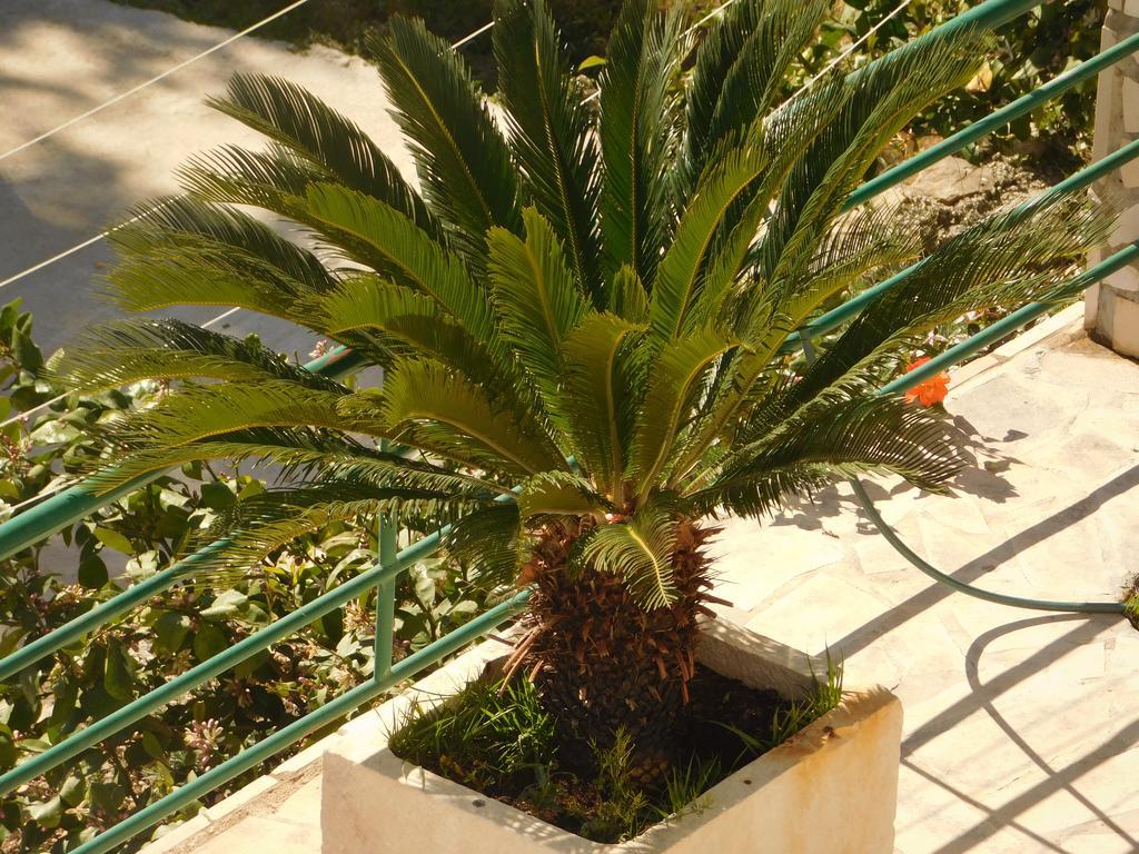 Villa Ana Podgora Εξωτερικό φωτογραφία